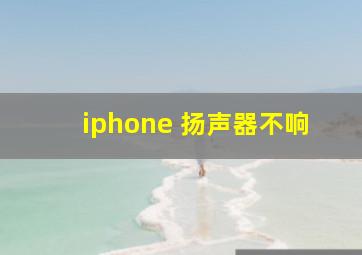 iphone 扬声器不响